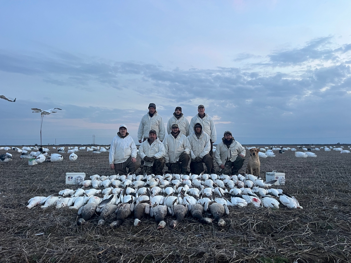 Afternoon Conservation Hunts